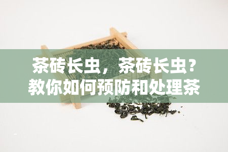 茶砖长虫，茶砖长虫？教你如何预防和处理茶叶受潮生虫问题！