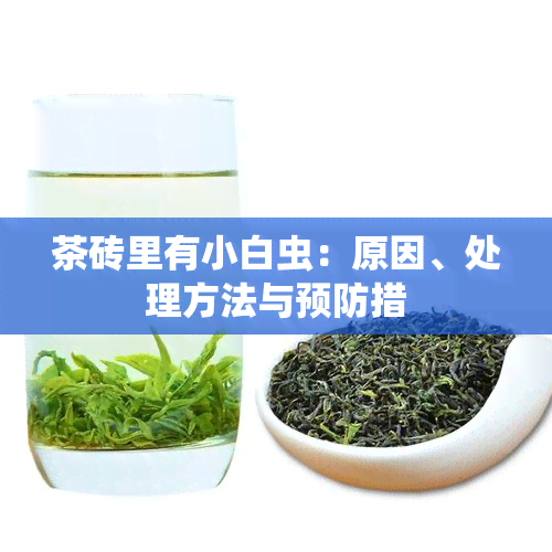 茶砖里有小白虫：原因、处理方法与预防措