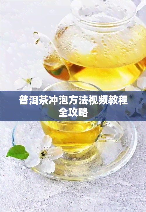 普洱茶冲泡方法视频教程全攻略