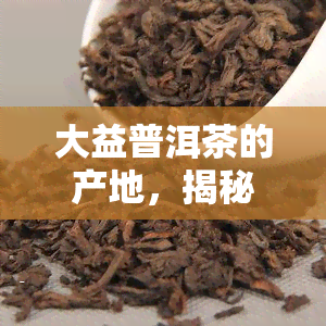 大益普洱茶的产地，揭秘大益普洱茶的故乡：探寻其独特产地的魅力