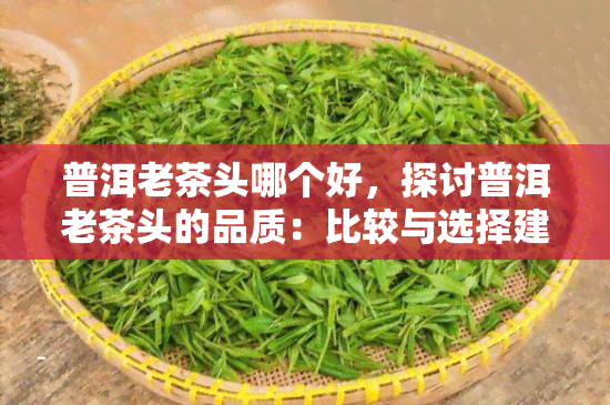 普洱老茶头哪个好，探讨普洱老茶头的品质：比较与选择建议