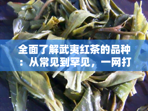 全面了解武夷红茶的品种：从常见到罕见，一网打尽