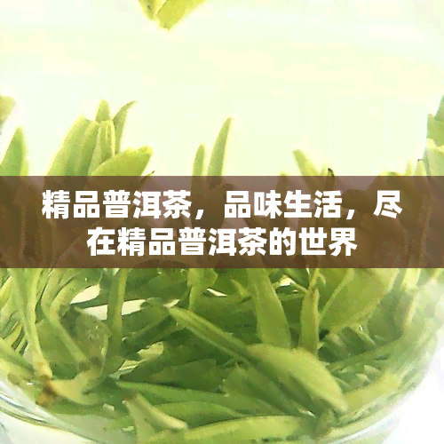 精品普洱茶，品味生活，尽在精品普洱茶的世界