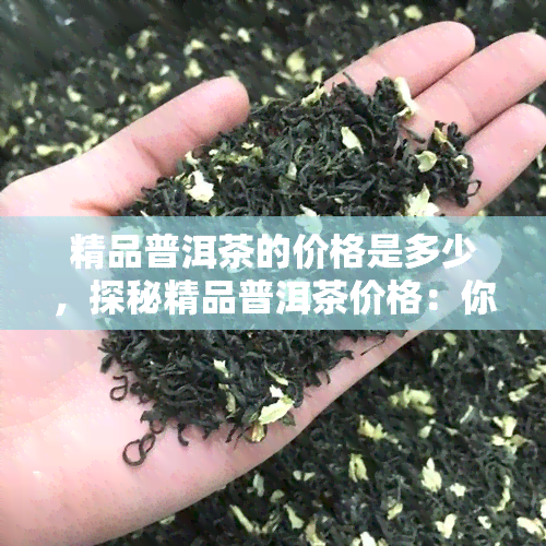 精品普洱茶的价格是多少，探秘精品普洱茶价格：你了解多少？