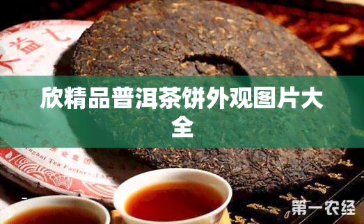 欣精品普洱茶饼外观图片大全