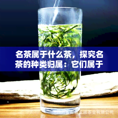 名茶属于什么茶，探究名茶的种类归属：它们属于哪一类茶？