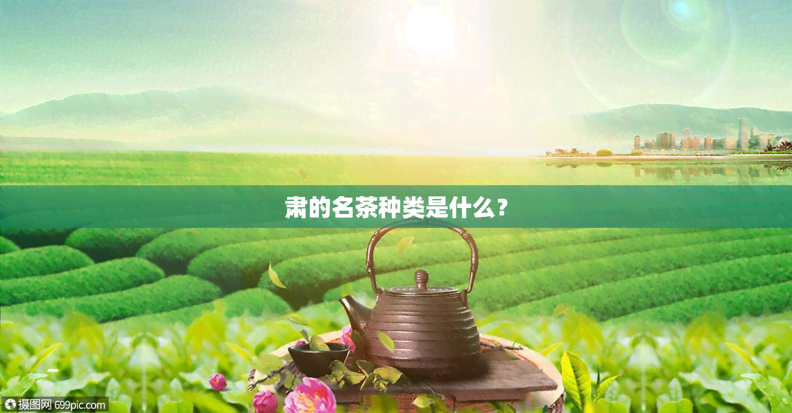 肃的名茶种类是什么？