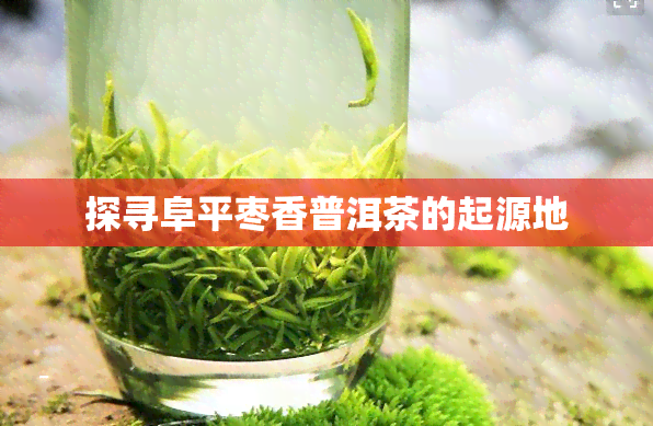 探寻阜平枣香普洱茶的起源地