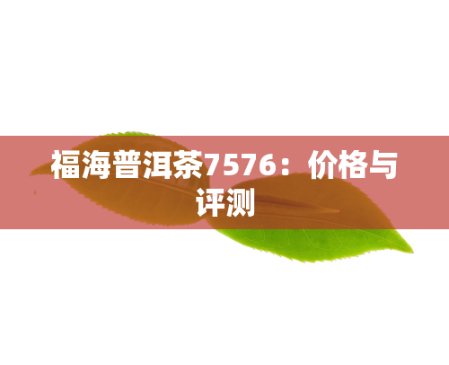 福海普洱茶7576：价格与评测