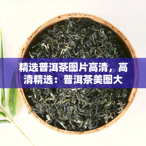 精选普洱茶图片高清，高清精选：普洱茶美图大