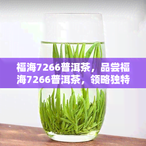 福海7266普洱茶，品尝福海7266普洱茶，领略独特的茶香与韵味