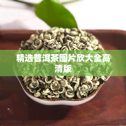 精选普洱茶图片欣大全高清版