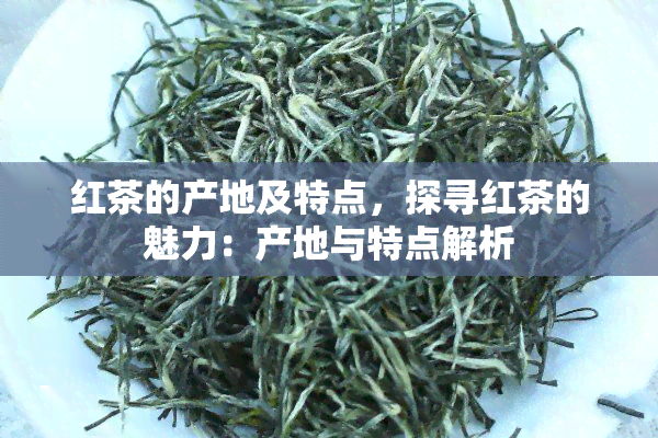 红茶的产地及特点，探寻红茶的魅力：产地与特点解析