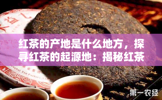 红茶的产地是什么地方，探寻红茶的起源地：揭秘红茶的产地信息