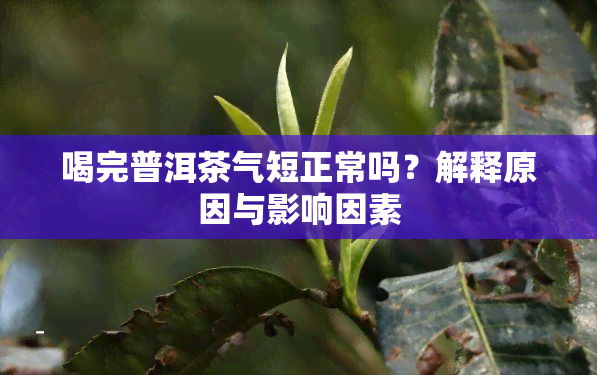 喝完普洱茶气短正常吗？解释原因与影响因素