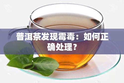 普洱茶发现霉：如何正确处理？