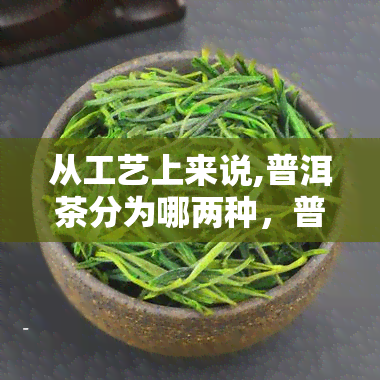 从工艺上来说,普洱茶分为哪两种，普洱茶的两大工艺分类解析