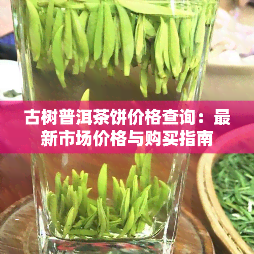 古树普洱茶饼价格查询：最新市场价格与购买指南