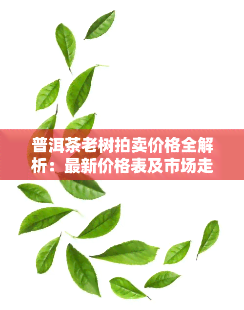 普洱茶老树拍卖价格全解析：最新价格表及市场走势