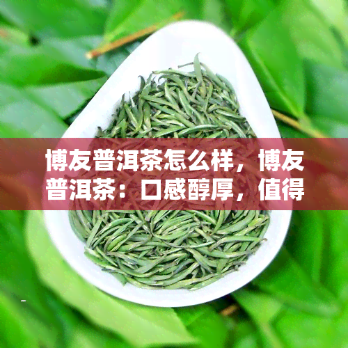 博友普洱茶怎么样，博友普洱茶：口感醇厚，值得一试！