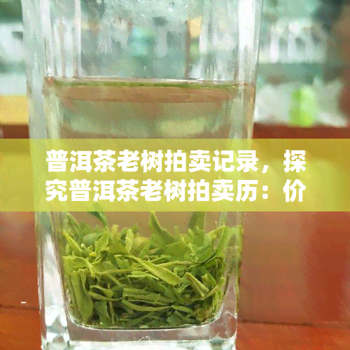 普洱茶老树拍卖记录，探究普洱茶老树拍卖历：价格、背后故事与收藏价值