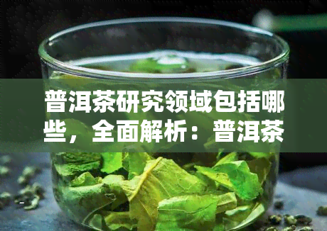 普洱茶研究领域包括哪些，全面解析：普洱茶研究领域的涵围