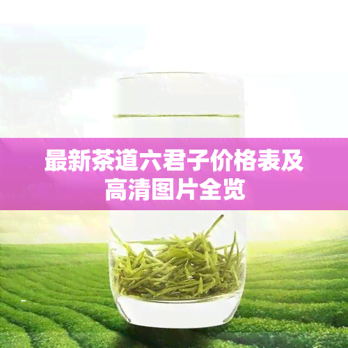 最新茶道六君子价格表及高清图片全览