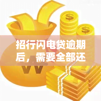 招行闪电贷逾期后，需要全部还清欠款吗？