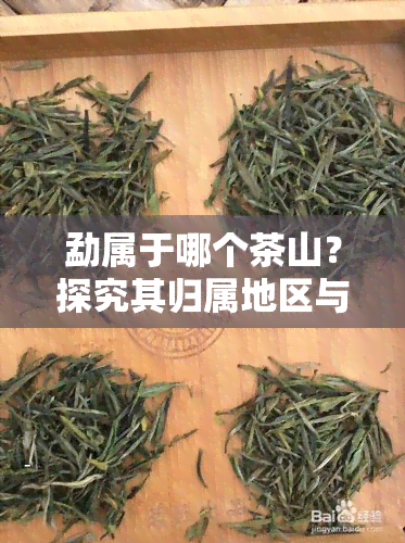 勐属于哪个茶山？探究其归属地区与茶山区