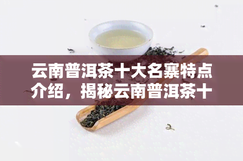 云南普洱茶十大名寨特点介绍，揭秘云南普洱茶十大名寨的独特魅力与特点