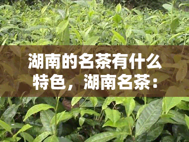 湖南的名茶有什么特色，湖南名茶：独特的口感与文化魅力