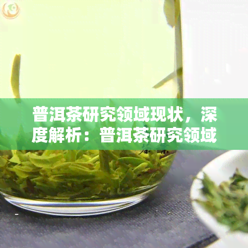 普洱茶研究领域现状，深度解析：普洱茶研究领域的现状与未来展望