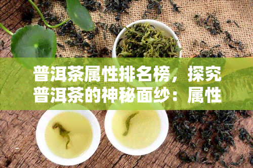 普洱茶属性排名榜，探究普洱茶的神秘面纱：属性排名一览无余