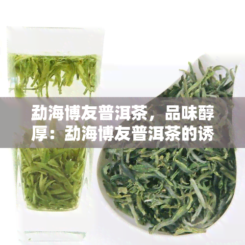 勐海博友普洱茶，品味醇厚：勐海博友普洱茶的诱惑