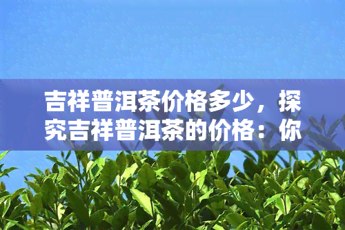 吉祥普洱茶价格多少，探究吉祥普洱茶的价格：你了解多少？