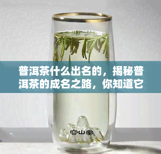 普洱茶什么出名的，揭秘普洱茶的成名之路，你知道它为什么那么受欢迎吗？