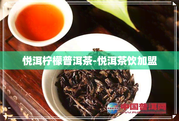 悦洱柠檬普洱茶-悦洱茶饮加盟