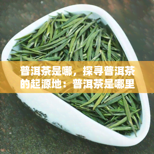 普洱茶是哪，探寻普洱茶的起源地：普洱茶是哪里来的？