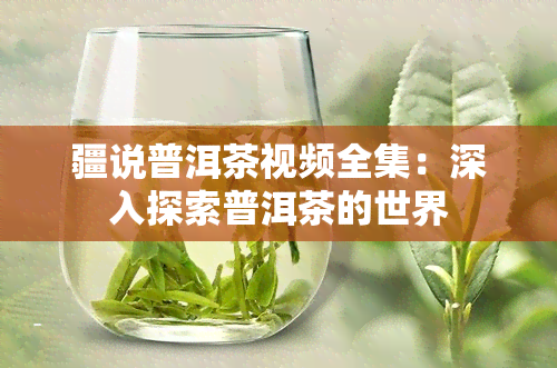 疆说普洱茶视频全集：深入探索普洱茶的世界