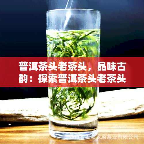 普洱茶头老茶头，品味古韵：探索普洱茶头老茶头的奥秘与魅力