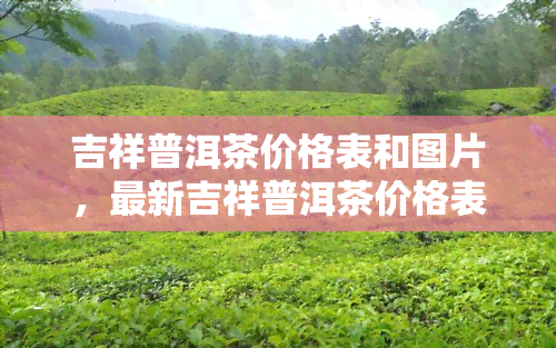 吉祥普洱茶价格表和图片，最新吉祥普洱茶价格表及高清图片一览