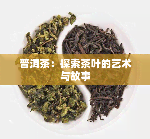 普洱茶：探索茶叶的艺术与故事