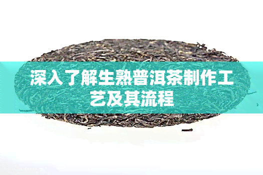 深入了解生熟普洱茶制作工艺及其流程