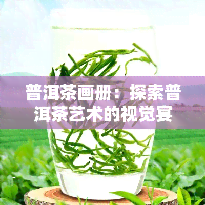 普洱茶画册：探索普洱茶艺术的视觉宴