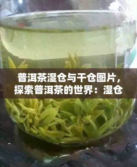 普洱茶湿仓与干仓图片，探索普洱茶的世界：湿仓与干仓的视觉对比