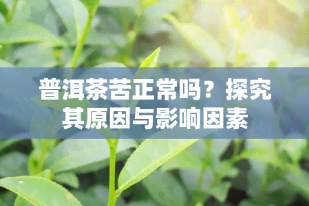 普洱茶苦正常吗？探究其原因与影响因素