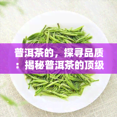 普洱茶的，探寻品质：揭秘普洱茶的顶级与产地