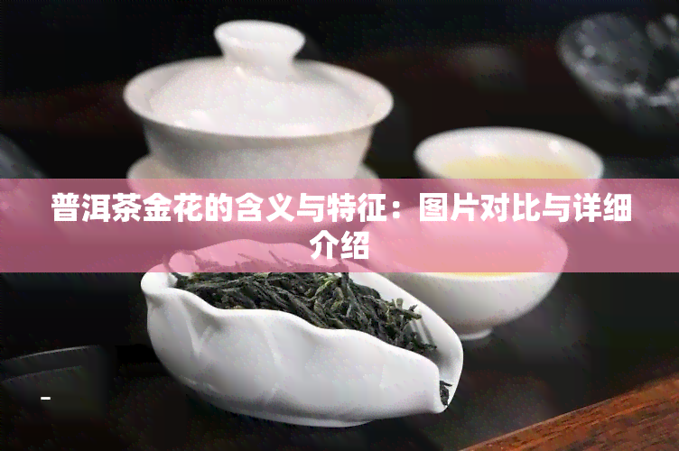 普洱茶金花的含义与特征：图片对比与详细介绍