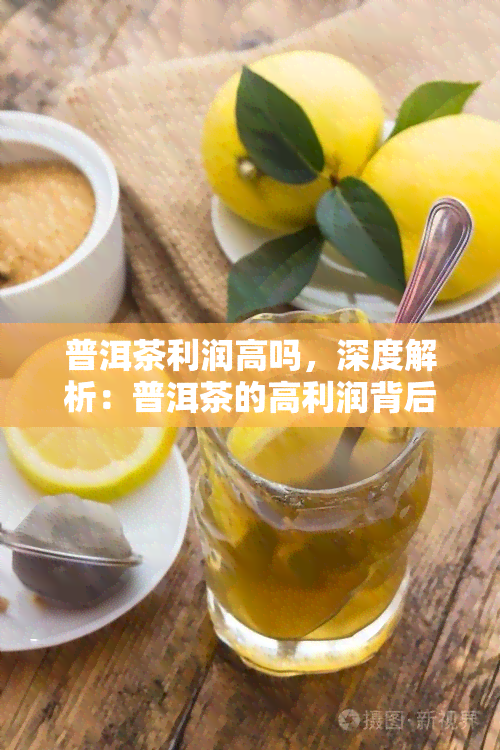 普洱茶利润高吗，深度解析：普洱茶的高利润背后的原因是什么？