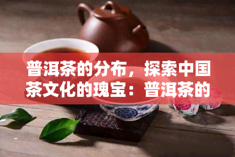 普洱茶的分布，探索中国茶文化的瑰宝：普洱茶的分布与特点